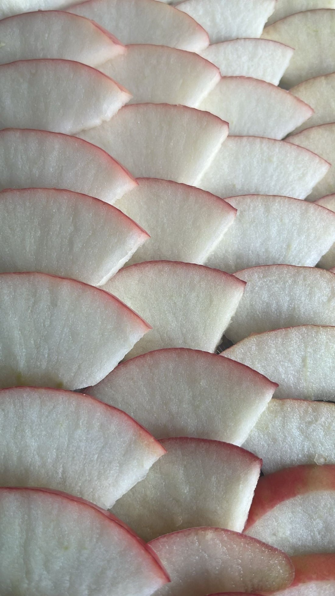 Freeze Drying vs Dehydrating Fruit: What’s the Difference — and Which Is Better?